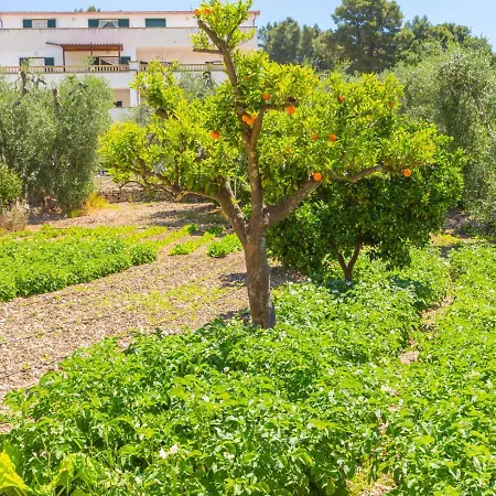Tavaglione-2 By Interhome Apartment Peschici